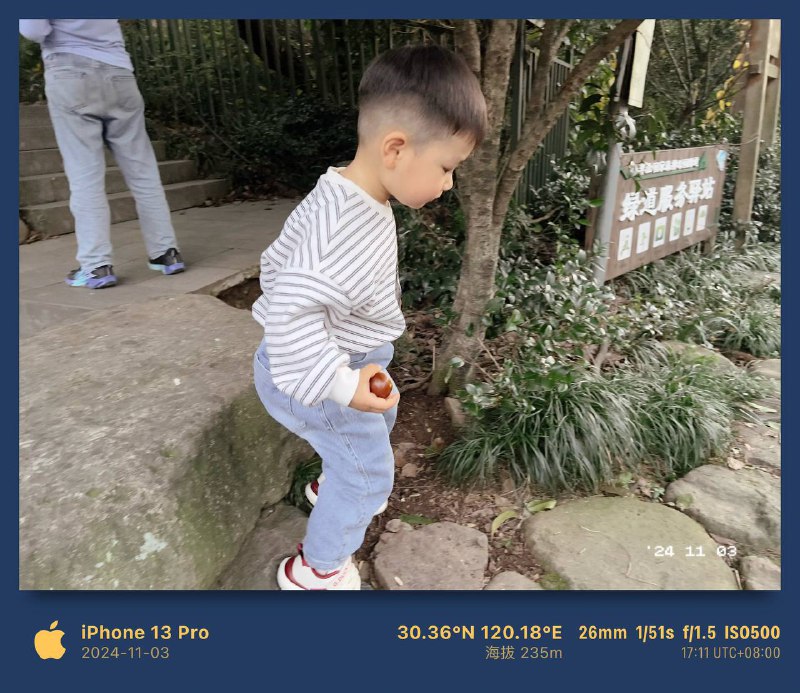 登顶半山 11.3登顶半山 11.3